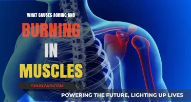Muscle Pain Explained: Causes of Aching and Burning Sensations