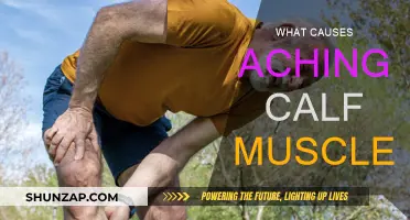 Understanding Calf Muscle Aches: Causes and Prevention