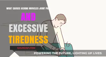 Unraveling Muscle Aches, Joint Pain, and Chronic Fatigue Causes