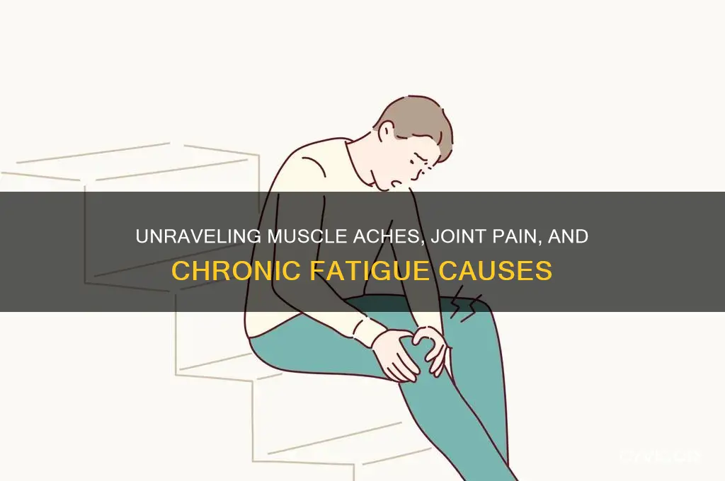 what causes aching muscles joint pain and excessive tiredness