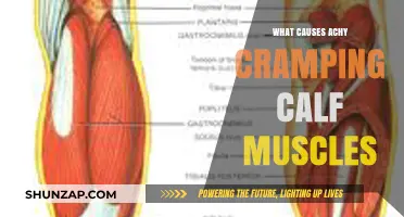 Understanding Achy Cramping Calf Muscles: Causes and Relief Strategies