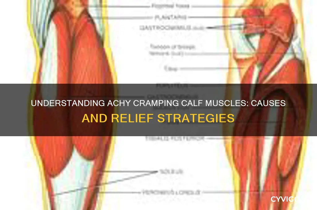 what causes achy cramping calf muscles
