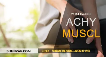 Muscle Aches: Uncovering the Root Cause of Your Pain