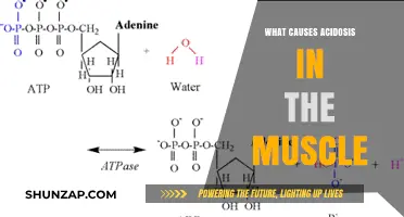 Understanding Muscle Acidosis: Causes and Contributing Factors Explained