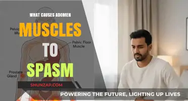 Understanding Abdominal Muscle Spasms: Causes and Triggers Explained