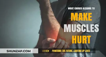 Why Alcohol Triggers Muscle Pain: Understanding the Hidden Causes