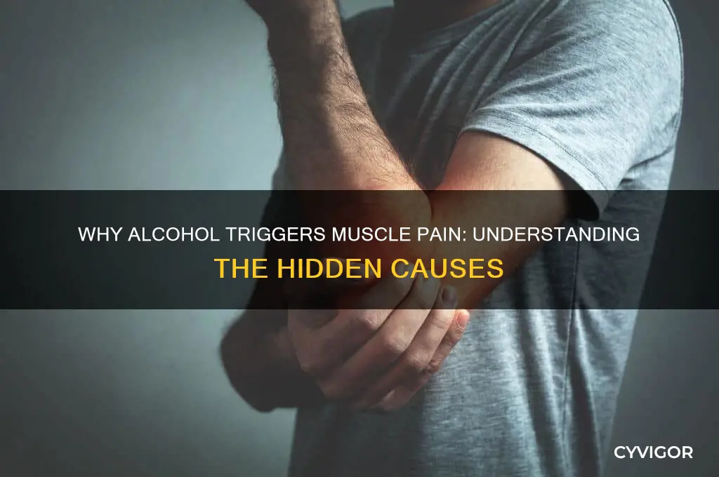 what causes alcohol to make muscles hurt