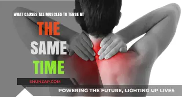 Understanding Sudden Full-Body Muscle Tension: Causes and Triggers Explained