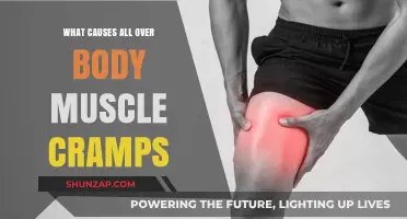 Understanding the Root Causes of Full-Body Muscle Cramps