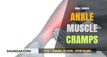 Understanding Ankle Muscle Cramps: Causes, Prevention, and Relief Strategies