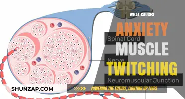 Understanding Anxiety-Induced Muscle Twitching: Causes and Coping Strategies