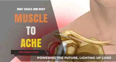 Why Your Arm Bicep Muscle Aches: Common Causes Explained