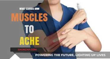 Why Do Arm Muscles Ache? Common Causes and Remedies Explained