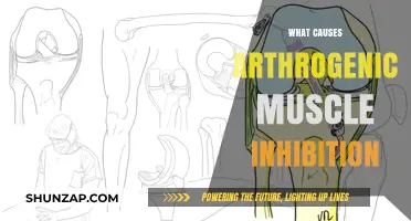 Understanding Arthrogenic Muscle Inhibition: Causes and Joint Impact Explained