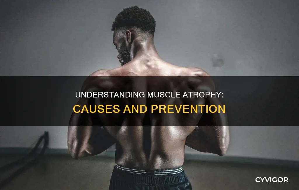 what causes atrophy of muscles