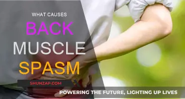 Understanding Back Muscle Spasms: Causes and Triggers