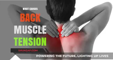 Understanding Back Muscle Tension: Common Causes and Prevention Tips