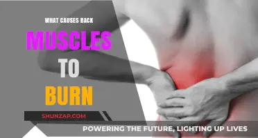 Why Your Back Muscles Burn: Causes and Solutions Explained