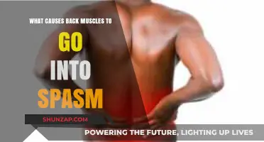 Understanding Back Muscle Spasms: Causes and Triggers Explained