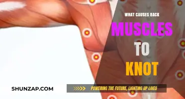 Why Back Muscles Knot: Causes, Prevention, and Relief Strategies