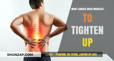 Why Your Back Muscles Tighten: Common Causes and Solutions