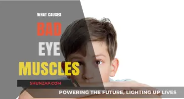 Understanding Weak Eye Muscles: Causes and Impact on Vision Health