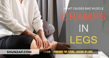 Leg Muscle Cramps: Causes and Prevention