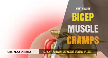 Understanding Bicep Muscle Cramps: Causes, Prevention, and Relief Strategies