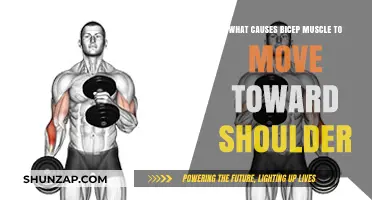 Understanding Bicep Movement: Why Muscles Shift Toward the Shoulder