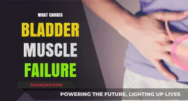 Understanding Bladder Muscle Failure: Causes, Symptoms, and Treatment Options