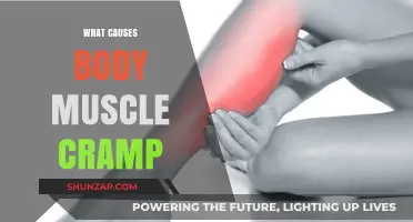 Understanding Muscle Cramps: Causes and Prevention for Healthy Bodies