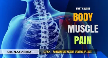 Understanding Body Muscle Pain: Common Causes and Effective Relief Strategies