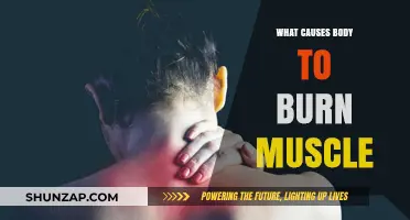Why Your Body Burns Muscle: Causes and Prevention Strategies
