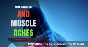 Unraveling the Mystery: Common Causes of Bone and Muscle Aches