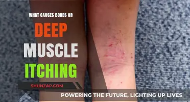 Unraveling the Mystery: Causes of Deep Bone and Muscle Itching