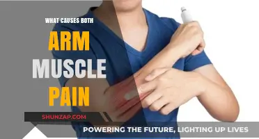 Understanding Arm Muscle Pain: Common Causes and Effective Relief Strategies