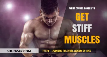 Why Boxers Experience Stiff Muscles: Causes and Prevention Tips