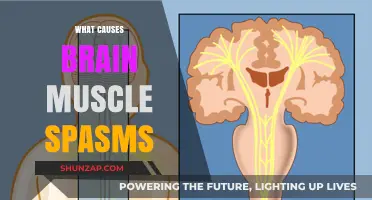 Understanding Brain Muscle Spasms: Causes, Triggers, and Underlying Factors