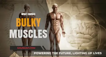 Unraveling the Science Behind Bulky Muscles: Causes and Factors Explained