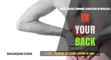 Unraveling the Mystery: What Causes Burning Sensation in Back Muscles?