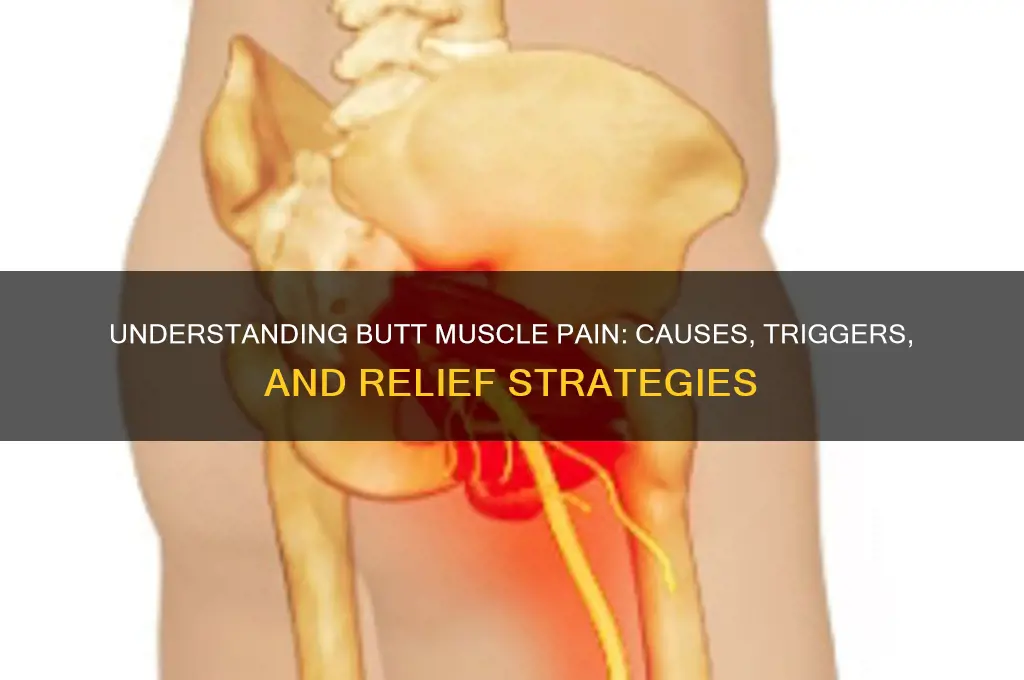 what causes butt muscle pain