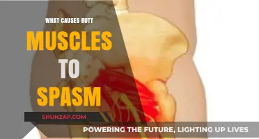 Why Your Glutes Twitch: Uncovering Causes of Butt Muscle Spasms