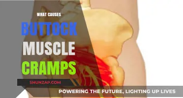 Understanding Buttock Muscle Cramps: Causes and Prevention Strategies
