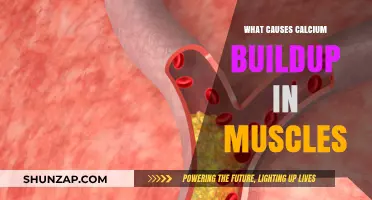 Understanding Calcium Buildup in Muscles: Causes and Prevention Tips