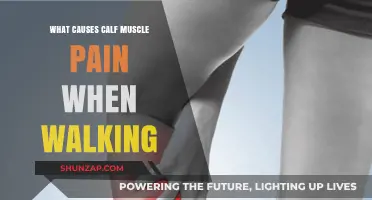Understanding Calf Muscle Pain: Causes and Walking-Related Triggers