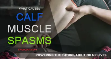 Understanding Calf Muscle Spasms: Causes and Triggers