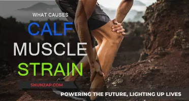 Understanding Calf Muscle Strains: Causes and Prevention