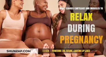 Pregnancy Hormones: Unraveling Cartilage and Muscle Relaxation Causes