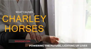 Understanding Charley Horses: Causes and Prevention