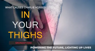 Understanding Charlie Horses: Thigh Muscle Spasms Explained